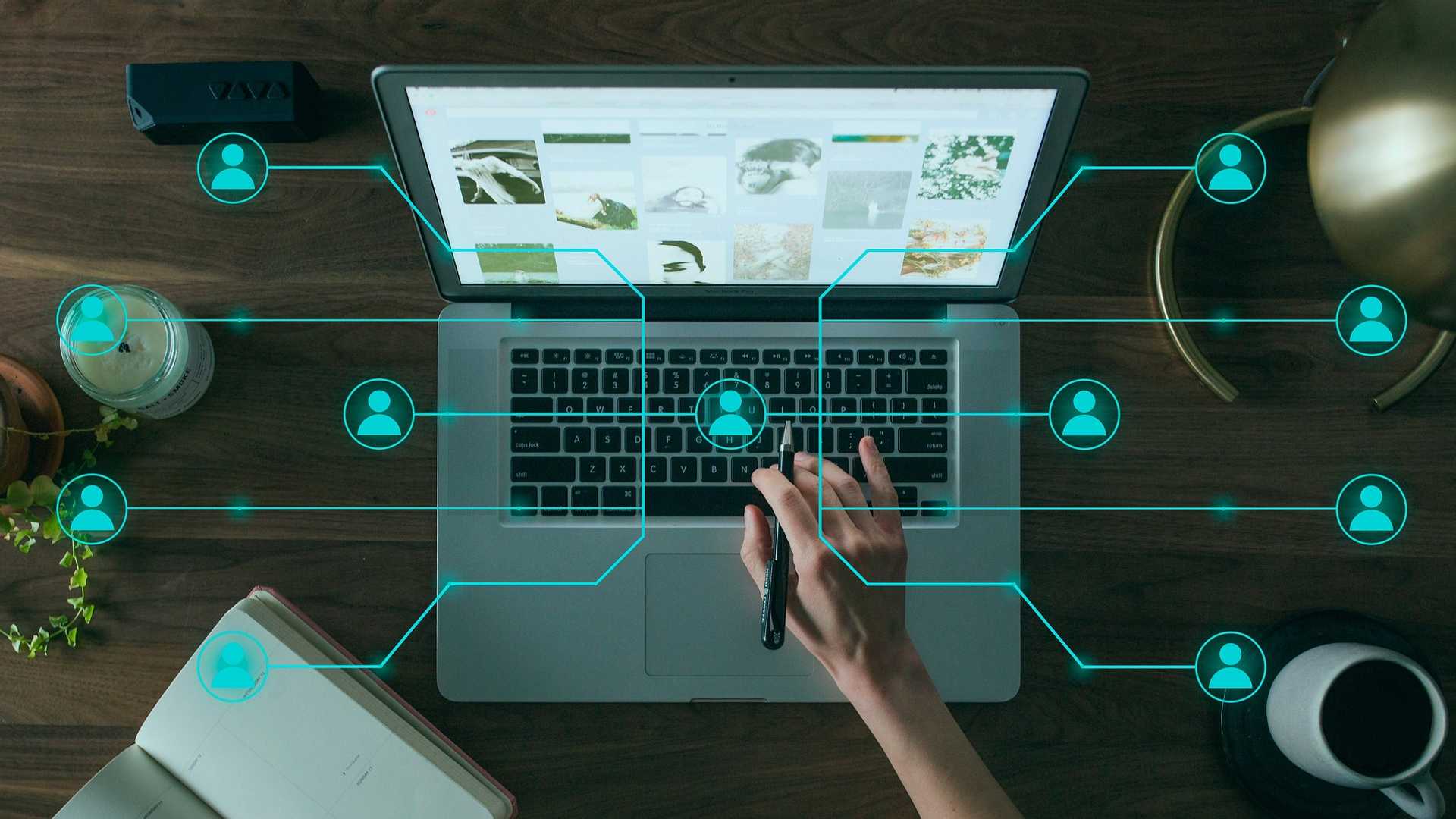 IT Management